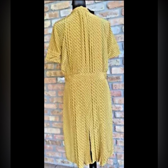 Pleated Short Sleeve Dress Marigold Size 6 NWT MSRP $2500 Belstaff 100% Silk - Picture 13 of 14